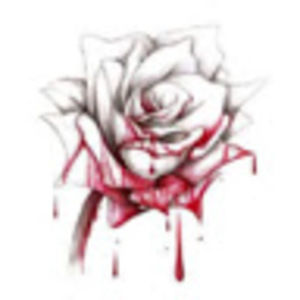 Meet your Posher, Bailey